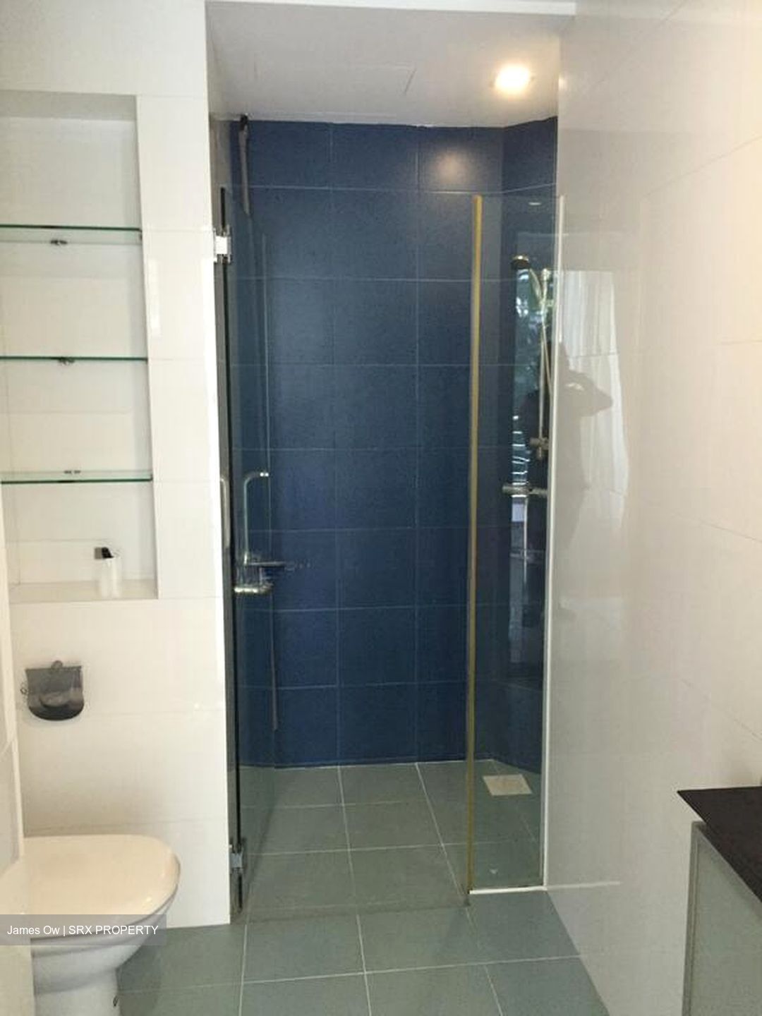 Grandeur 8 (D20), Condominium #529804751